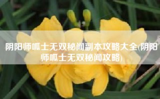 阴阳师呱士无双秘闻副本攻略大全(阴阳师呱士无双秘闻攻略)