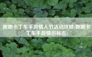 跑跑卡丁车手游情人节活动攻略(跑跑卡丁车手游情侣标志)