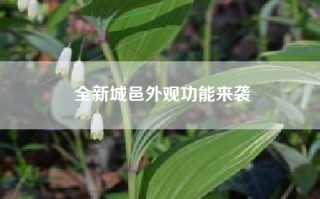 全新城邑外观功能来袭
