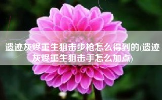 遗迹灰烬重生狙击步枪怎么得到的(遗迹灰烬重生狙击手怎么加点)