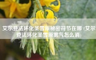 艾尔登法环化圣雪原秘密符节在哪 (艾尔登法环化圣雪原雾气怎么消)