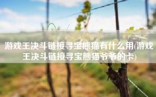 游戏王决斗链接寻宝熊猫有什么用(游戏王决斗链接寻宝熊猫爷爷的卡)