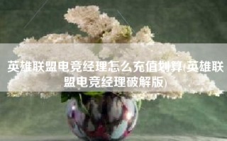 英雄联盟电竞经理怎么充值划算(英雄联盟电竞经理破解版)