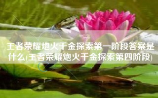 王者荣耀炮火千金探索第一阶段答案是什么(王者荣耀炮火千金探索第四阶段)
