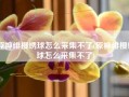 原神绯樱绣球怎么采集不了(原神绯樱绣球怎么采集不了)