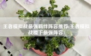 王者模拟战最强羁绊阵容推荐(王者模拟战稷下最强阵容)