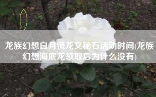 龙族幻想白月镜龙文秘石活动时间(龙族幻想海底龙领取后为什么没有)