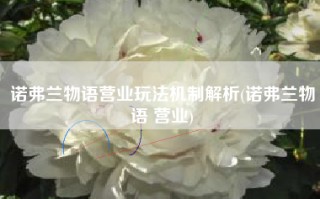 诺弗兰物语营业玩法机制解析(诺弗兰物语 营业)