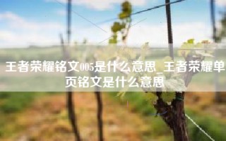 王者荣耀铭文005是什么意思_王者荣耀单页铭文是什么意思