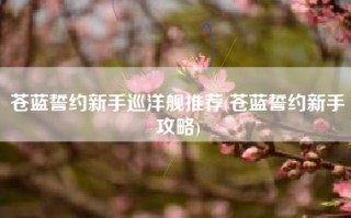 苍蓝誓约新手巡洋舰推荐(苍蓝誓约新手攻略)