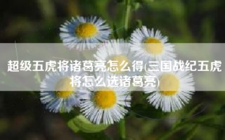超级五虎将诸葛亮怎么得(三国战纪五虎将怎么选诸葛亮)