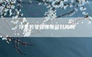 浮生若梦露娜缇可好用吗