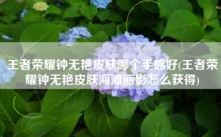 王者荣耀钟无艳皮肤哪个手感好(王者荣耀钟无艳皮肤海滩丽影怎么获得)