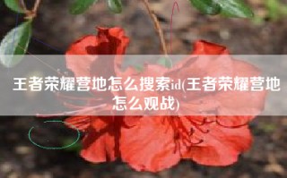 王者荣耀营地怎么搜索id(王者荣耀营地怎么观战)