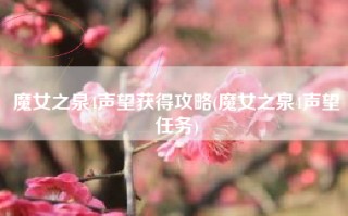 魔女之泉4声望获得攻略(魔女之泉4声望任务)