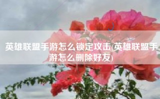 英雄联盟手游怎么锁定攻击(英雄联盟手游怎么删除好友)