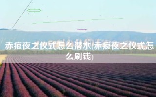 赤痕夜之仪式怎么潜水(赤痕夜之仪式怎么刷钱)
