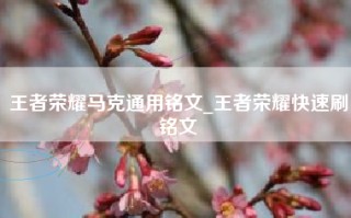王者荣耀马克通用铭文_王者荣耀快速刷铭文