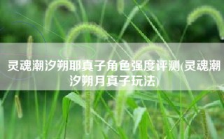 灵魂潮汐朔耶真子角色强度评测(灵魂潮汐朔月真子玩法)