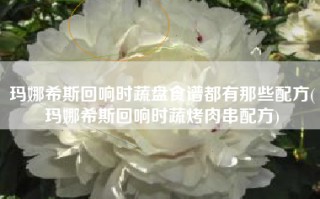 玛娜希斯回响时蔬盘食谱都有那些配方(玛娜希斯回响时蔬烤肉串配方)