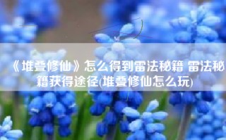 《堆叠修仙》怎么得到雷法秘籍 雷法秘籍获得途径(堆叠修仙怎么玩)
