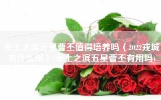 率土之滨五星曹丕值得培养吗（2022戎城有什么用）(率土之滨五星曹丕有用吗)