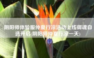 阴阳师体验服仲夏行凉活动上线御魂自选开启(阴阳师仲夏行凉一天)