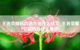 王者荣耀韩信适合用什么铭文_王者荣耀女的适合什么角色