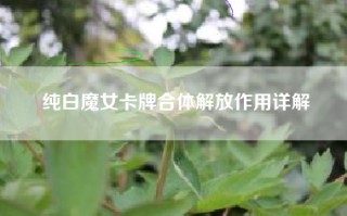 纯白魔女卡牌合体解放作用详解