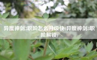 异度神剑3职阶怎么升级快(异度神剑3职阶解锁)