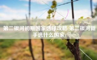 第二银河初期国家选择攻略(第二银河新手选什么国家)