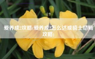 爱养成2攻略(爱养成2怎么达成骑士结局攻略)