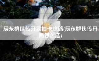 辰东群侠传开局抽卡攻略(辰东群侠传开局怎么选)