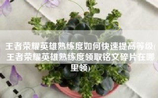 王者荣耀英雄熟练度如何快速提高等级(王者荣耀英雄熟练度领取铭文碎片在哪里领)