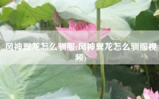 风神翼龙怎么驯服(风神翼龙怎么驯服视频)