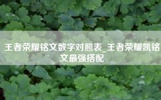 王者荣耀铭文数字对照表_王者荣耀凯铭文最强搭配