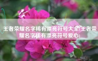王者荣耀名字稀有漂亮符号大全(王者荣耀名字稀有漂亮符号爱心)