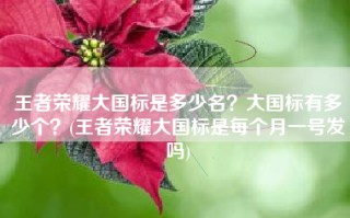 王者荣耀大国标是多少名？大国标有多少个？(王者荣耀大国标是每个月一号发吗)