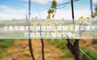 王者荣耀大厅消息怎么复制(王者荣耀大厅消息怎么复制文字)