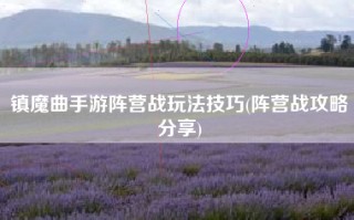 镇魔曲手游阵营战玩法技巧(阵营战攻略分享)