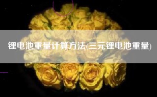 锂电池重量计算方法(三元锂电池重量)