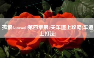 孤狼Lonewolf第四章第9关车道上攻略(车道上打法)