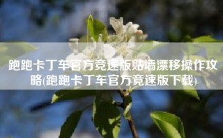 跑跑卡丁车官方竞速版贴墙漂移操作攻略(跑跑卡丁车官方竞速版下载)