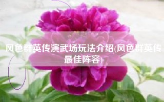 风色群英传演武场玩法介绍(风色群英传最佳阵容)