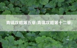 青璃攻略第五章(青璃攻略第十二章)