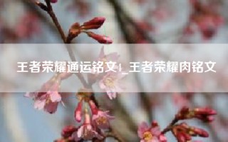 王者荣耀通运铭文4_王者荣耀肉铭文