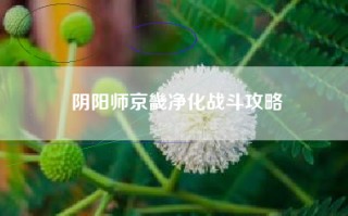 阴阳师京畿净化战斗攻略