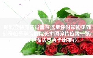 哈利波特魔法觉醒在这里你时常能见到赫奇帕奇学院的院长拼图碎片位置一览(哈利波特魔法觉醒卡组推荐)