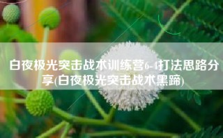白夜极光突击战术训练营6-4打法思路分享(白夜极光突击战术黑蹄)