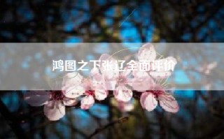 鸿图之下张辽全面评价